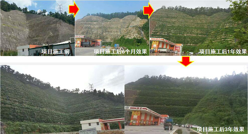 珠海市斗门区山体边坡生态奶茶视频APP下载