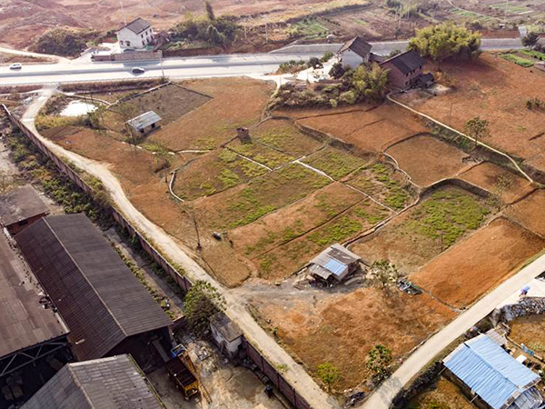 污染场地奶茶视频APP下载